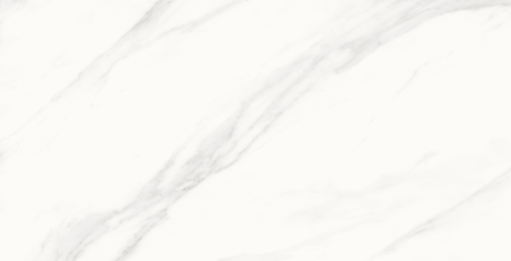 Calacatta Superb белый 60x120 сатинированный