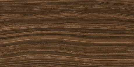 +27457 SUITE BROWN/60X120/EP