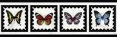Бордюр Victorian Marble Gold Butterfly Border Prl 12,5х40 K1427MKB30